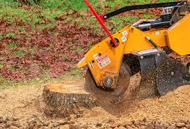 Best Lot and Land Clearing  in Mira Monte, CA